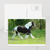 Roxie Postkarte (Vorne/Hinten)