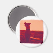 Roxy Foto von Daniela Magnet (Vorderseite/Rückseite)