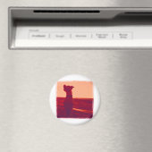 Roxy Foto von Daniela Magnet (In Situ (Geschirrspüler))