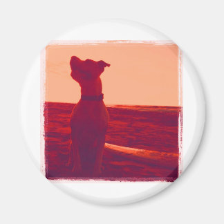 Roxy Foto von Daniela Magnet