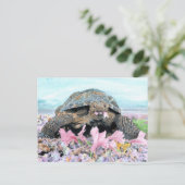Roxy the Turtle Postcard Postkarte (Stehend Vorderseite)