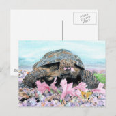 Roxy the Turtle Postcard Postkarte (Vorne/Hinten)