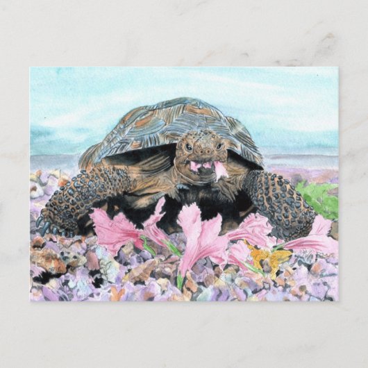 Roxy the Turtle Postcard Postkarte (Vorderseite)