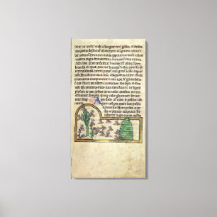 Roy Page of text with Illustration of the Leinwanddruck