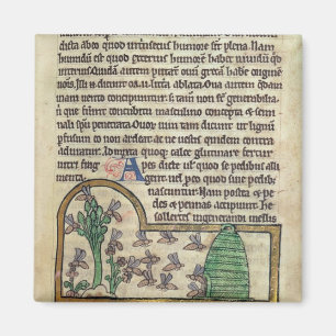 Roy Page of text with Illustration of the Magnet