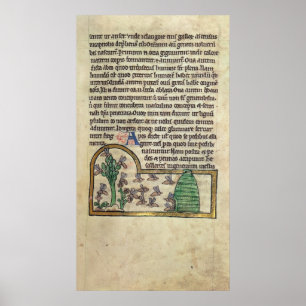 Roy Page of text with Illustration of the Poster