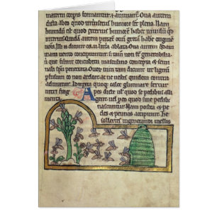 Roy-Seite des Textes mit Illustration von