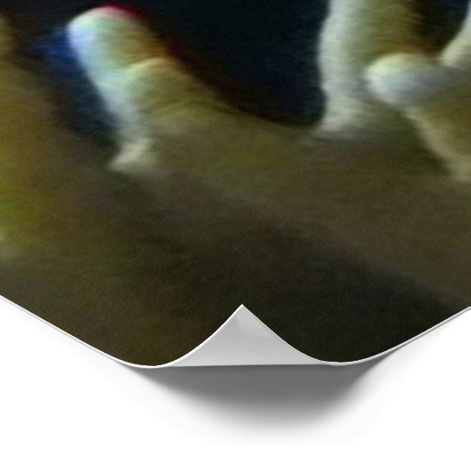 Royal Angel Fish Poster (Ecke)