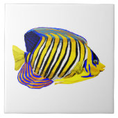 Royal Angelfish Fliese (Vorderseite)