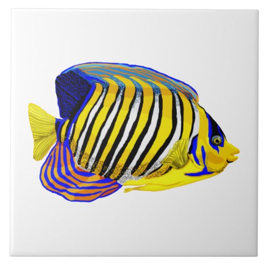 Royal Angelfish Fliese (Vorderseite)