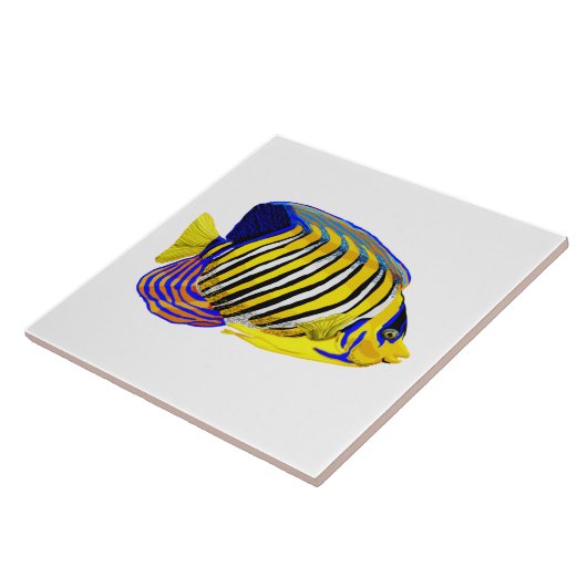 Royal Angelfish Fliese (Seite)