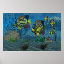 Royal Angelfish Print Poster