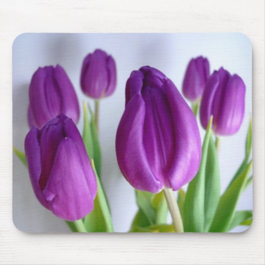 Royal Ansammlung Mousepad (Vorne)