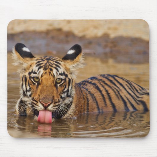Royal Bengal Tiger cub, Drinking Water Mousepad (Vorne)