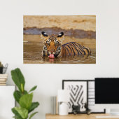 Royal Bengal Tiger cub, Drinking Water Poster (Heimbüro)