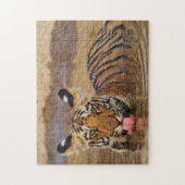 Royal Bengal Tiger cub, Drinking Water Puzzle (Vertikal)