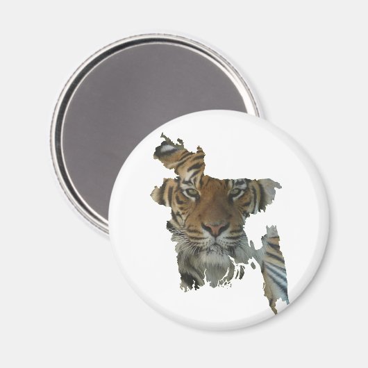 Royal Bengal Tiger Magnet (Vorderseite/Rückseite)