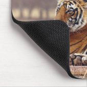 Royal Bengalisch Tiger an der Spitze, Mousepad (Ecke)