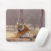 Royal Bengalisch Tiger an der Spitze, Mousepad (Mit Mouse)