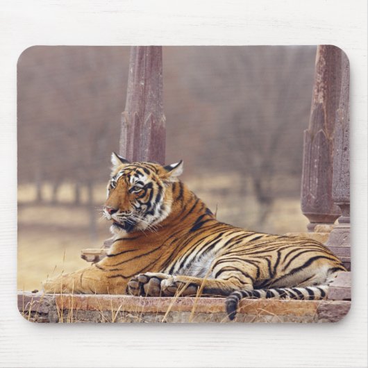 Royal Bengalisch Tiger an der Spitze, Mousepad (Vorne)
