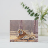 Royal Bengalisch Tiger an der Spitze, Postkarte (Stehend Vorderseite)