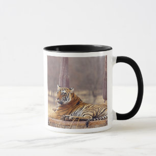 Royal Bengalisch Tiger an der Spitze, Tasse