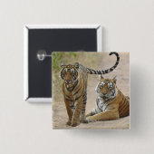 Royal Bengalisch Tiger and young, Ranthambhor Button (Vorne & Hinten)