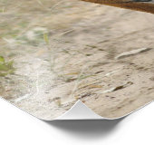 Royal Bengalisch Tiger and young, Ranthambhor Fotodruck (Ecke)