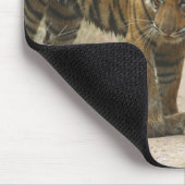 Royal Bengalisch Tiger and young - Touching ahead, Mousepad (Ecke)
