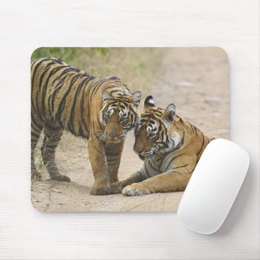 Royal Bengalisch Tiger and young - Touching ahead, Mousepad (Mit Mouse)