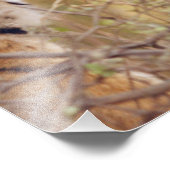 Royal Bengalisch Tiger Fotodruck (Ecke)