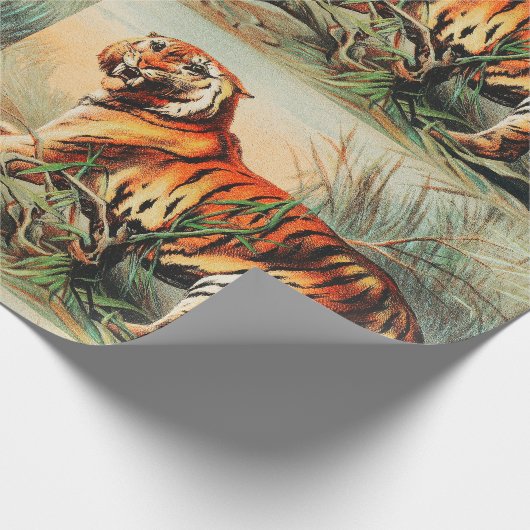Royal Bengalisch Tiger Geschenkpapier (Ecke)