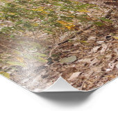 Royal Bengalisch Tiger klettert den Baum hinauf, Fotodruck (Ecke)