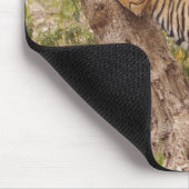 Royal Bengalisch Tiger klettert den Baum hinauf, Mousepad (Ecke)