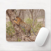 Royal Bengalisch Tiger klettert den Baum hinauf, Mousepad (Mit Mouse)