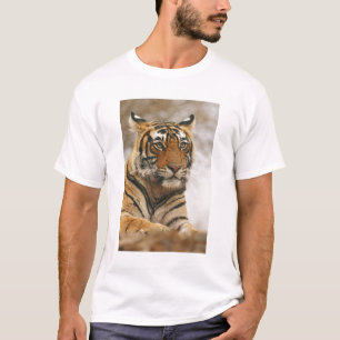 Royal Bengalisch Tiger on rock, Ranthambhor T-Shirt