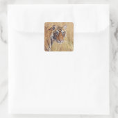 Royal Bengalisch Tiger Quadratischer Aufkleber (Tasche)