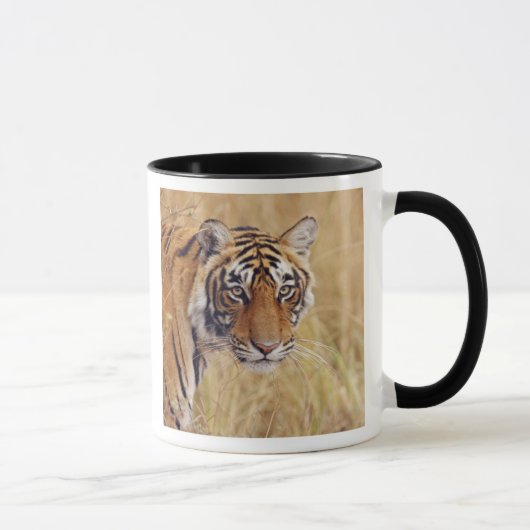 Royal Bengalisch Tiger Tasse (Rechts)