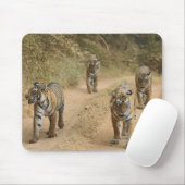 Royal Bengalisch Tigers Mousepad (Mit Mouse)