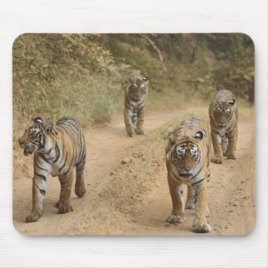 Royal Bengalisch Tigers Mousepad (Vorne)