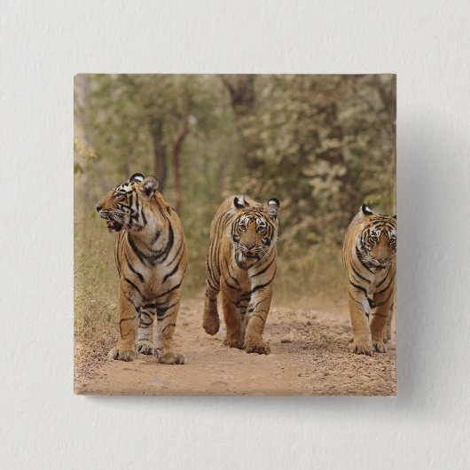 Royal Bengalisch Tigers on track, Ranthambhor Button (Vorderseite)