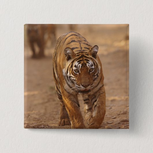 Royal Bengalisch Tigers on track, Ranthambhor Button (Vorderseite)