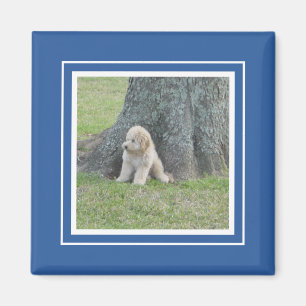 Royal Blau Weiße Moderne Foto-Vorlage Magnet