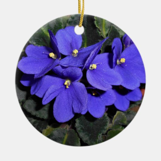 Royal Blue African Violet Keramik Ornament (Vorne)