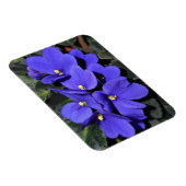Royal Blue African Violet Magnet (Rechte Seite)