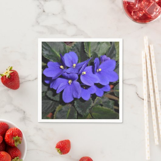 Royal Blue African Violet Serviette (Beispiel)