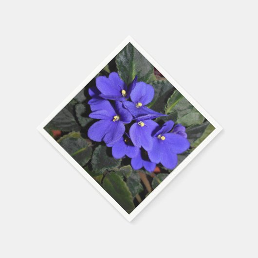 Royal Blue African Violet Serviette (Ecke)