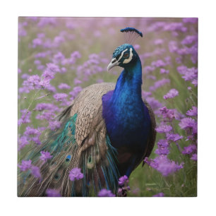 Royal Blue: Blue Peacock in Lavender Field, Fliese