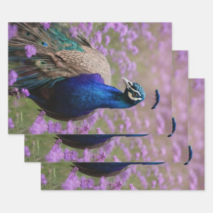 Royal Blue: Blue Peacock in Lavender Field, Geschenkpapier Set