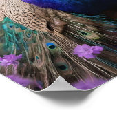 Royal Blue: Blue Peacock in Lavender Field, Poster (Ecke)